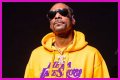 Is Snoop Dogg A Criminal? Uncovering The Truth Behind The Legend